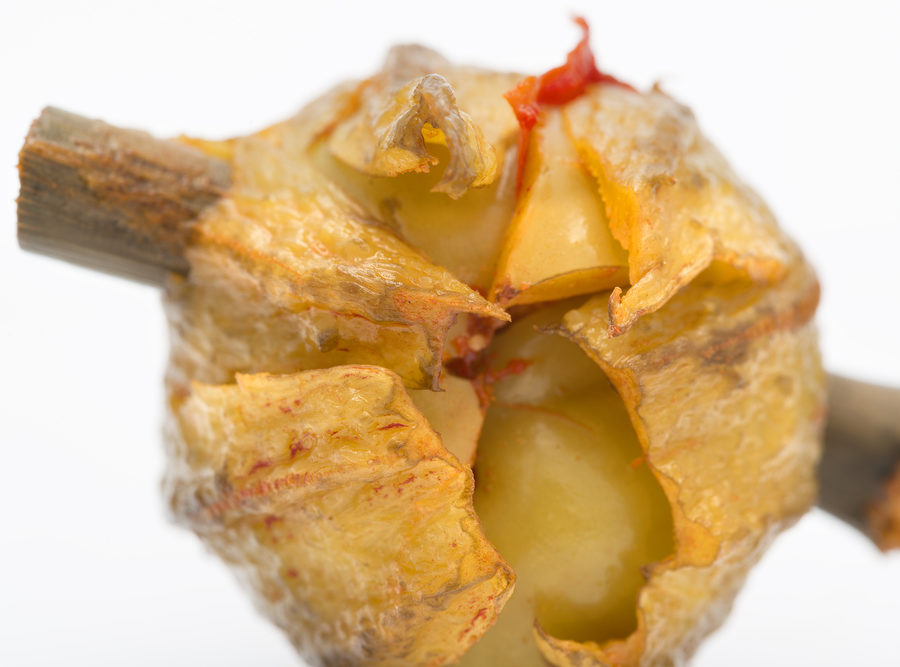 Las deliciosas berenjenas de Almagro y sus excelentes propiedades nutricionales
